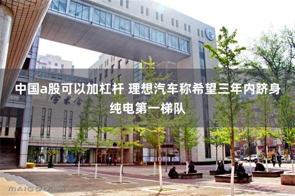 中国a股可以加杠杆 理想汽车称希望三年内跻身纯电第一梯队